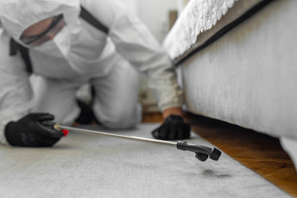 Professional Cockroach Control technician working in Burlington, WA