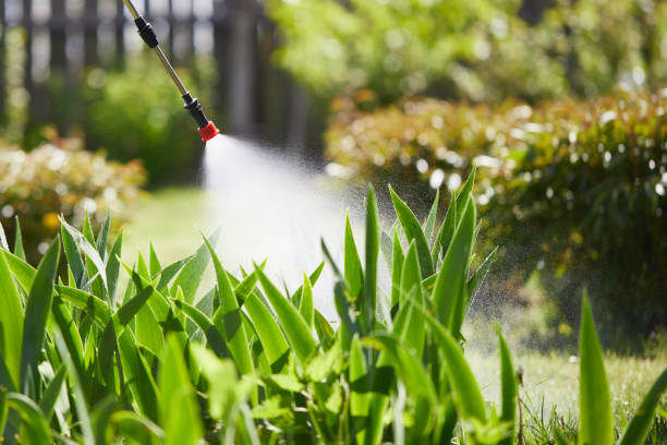 24/7 Emergency Cockroach Control experts in Burlington, WA