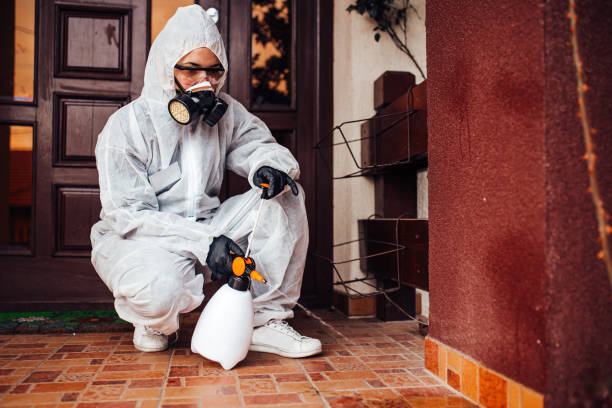 Reliable Cockroach Control contractor in Burlington, WA by Nex Pest Control