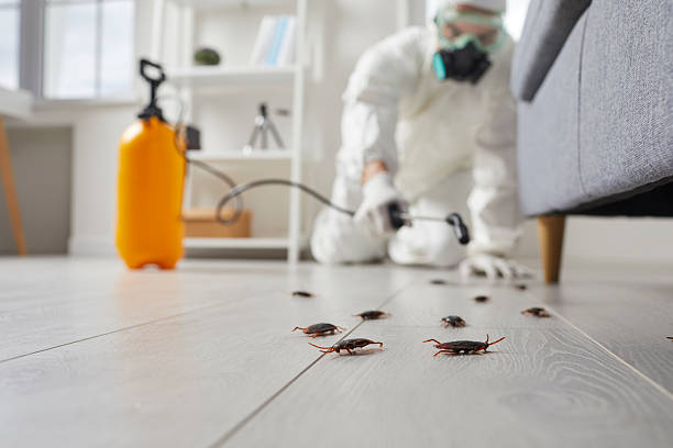 Trusted Rodent Control service in Burlington, WA - Nex Pest Control