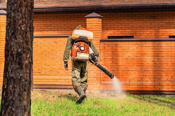 Trusted Emergency Pest Control service in Burlington, WA - Nex Pest Control